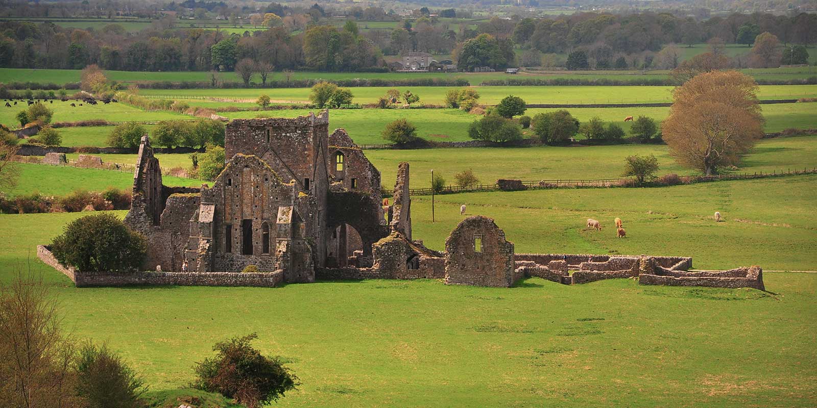 Irish Heritage | EF Study Abroad